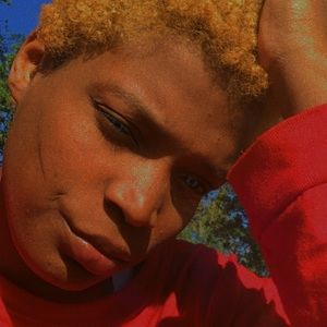 Meet your Posher, Twin